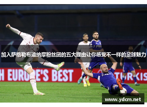 加入萨格勒布迪纳摩粉丝团的五大理由让你感受不一样的足球魅力
