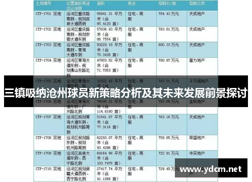 三镇吸纳沧州球员新策略分析及其未来发展前景探讨