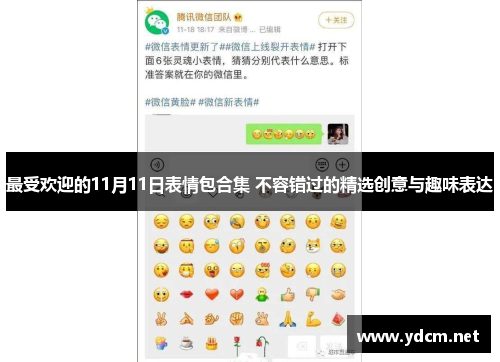 最受欢迎的11月11日表情包合集 不容错过的精选创意与趣味表达
