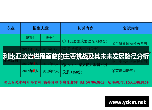 利比亚政治进程面临的主要挑战及其未来发展路径分析