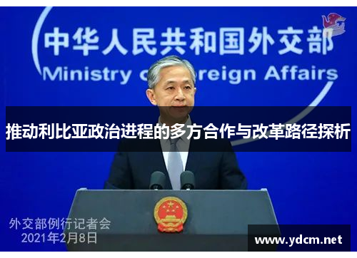 推动利比亚政治进程的多方合作与改革路径探析