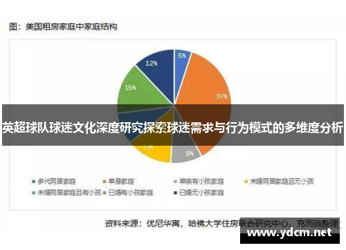 英超球队球迷文化深度研究探索球迷需求与行为模式的多维度分析